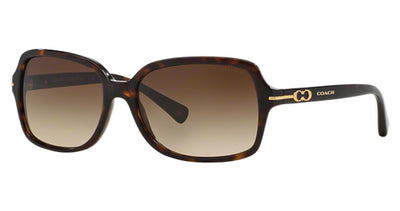 COACH HC8116 L087 BLAIR Sunglasses