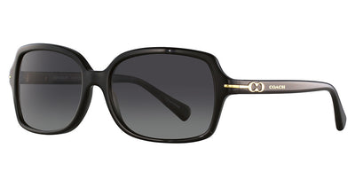 COACH HC8116 L087 BLAIR Sunglasses