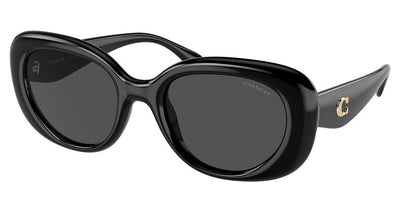 COACH HC8391U CR609 Sunglasses