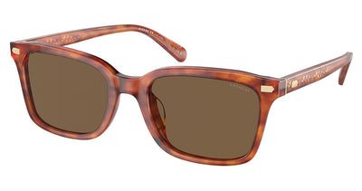 COACH HC8398U CR630 Sunglasses