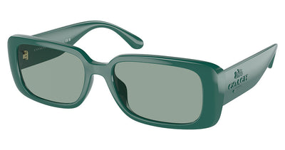 COACH HC8402U CR645 Sunglasses