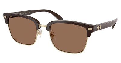 COACH HC8412 CW406 Sunglasses