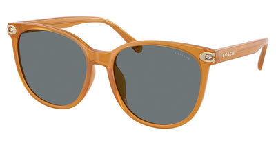 COACH HC8414BD CW428 Sunglasses