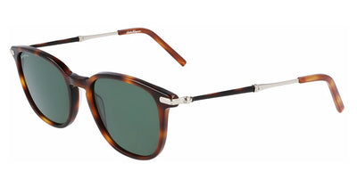 Ferragamo SF1015S Sunglasses