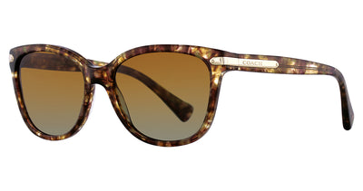 COACH HC8132 L109 Sunglasses