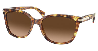 COACH HC8132 L109 Sunglasses