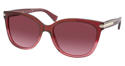 COACH HC8132 L109 Sunglasses