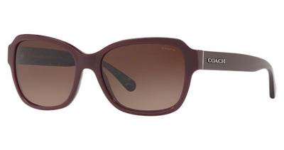 COACH HC8232 L1010 Sunglasses