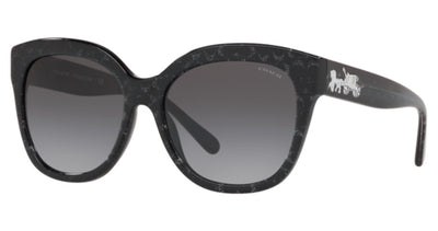 COACH HC8264 L1083 Sunglasses