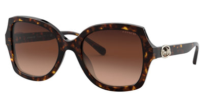 COACH HC8295 L1147 Sunglasses