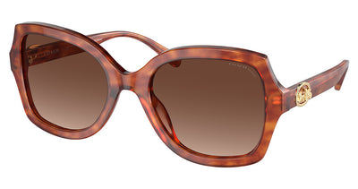 COACH HC8295 L1147 Sunglasses