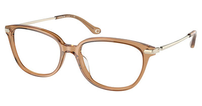 COACH HC6185 Eyeglasses