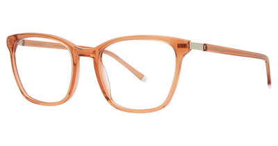 Paradigm 19-22 Eyeglasses
