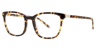Paradigm 19-22 Eyeglasses
