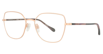 Alan J AJ-508 Eyeglasses