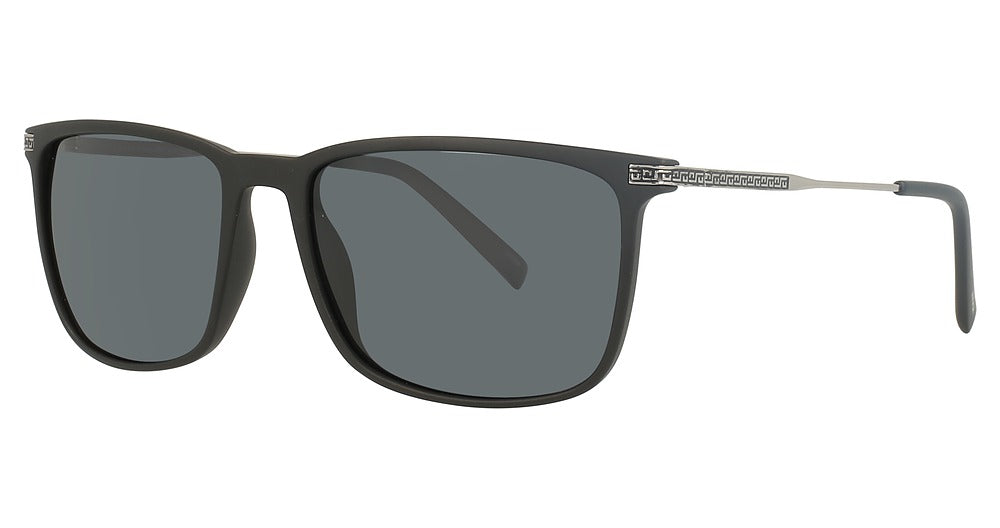 INVU INVU-265 Sunglasses
