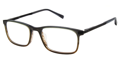 Ted Baker TFM012 Eyeglasses