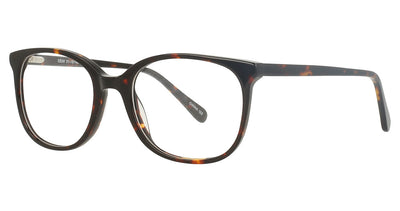 Continental Optical Imports Fregossi 1025 Eyeglasses