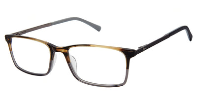 Ted Baker TFM016 Eyeglasses