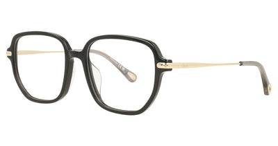 Chloé CH0218OA Eyeglasses