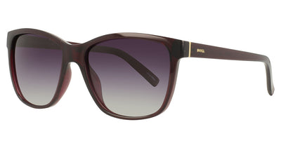 INVU INVU-303 Sunglasses