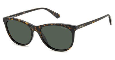 Polaroid PLD 4161/S Sunglasses