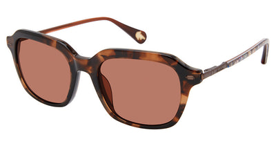 ROBERT GRAHAM DARRIO Sunglasses