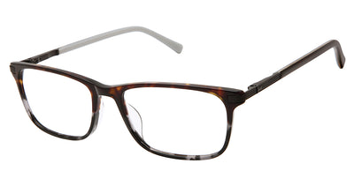 Ted Baker TFM017 Eyeglasses