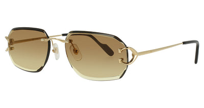 Cartier CT0468S Eyeglasses