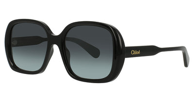 Chloé CH0222S Eyeglasses