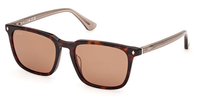 Web WE0369 Sunglasses