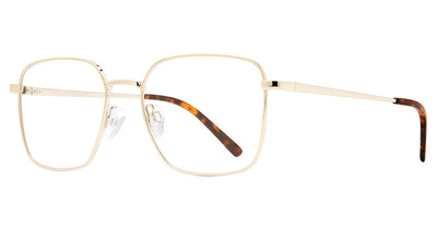 Eye Q Eyewear NOTTING HILL Eyeglasses