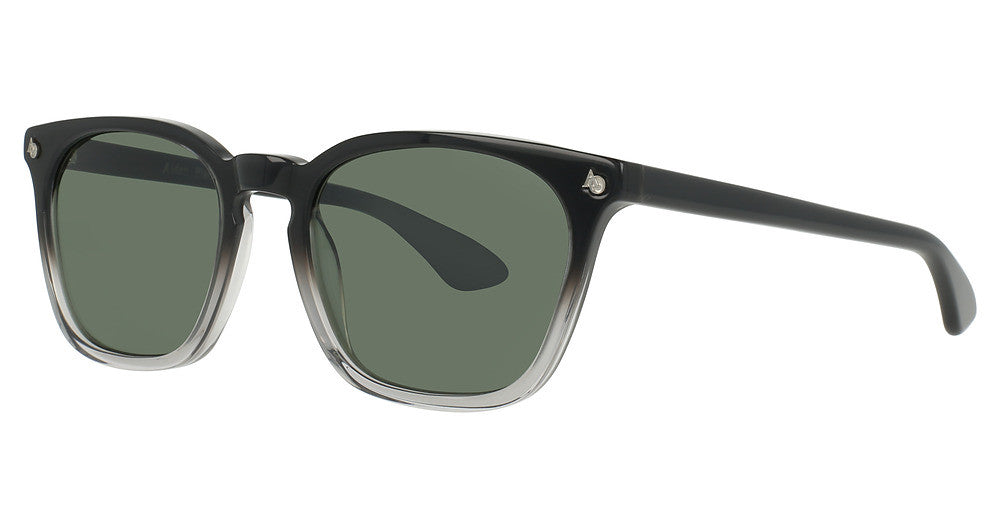 AO Eyewear Alden Sunglasses