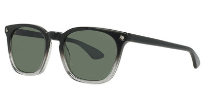 AO Eyewear Alden Sunglasses