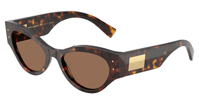 DOLCE & GABBANA DG4480 Sunglasses