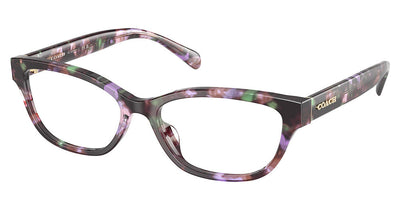 COACH HC6250U Eyeglasses