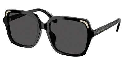 SWAROVSKI SK6034D Sunglasses