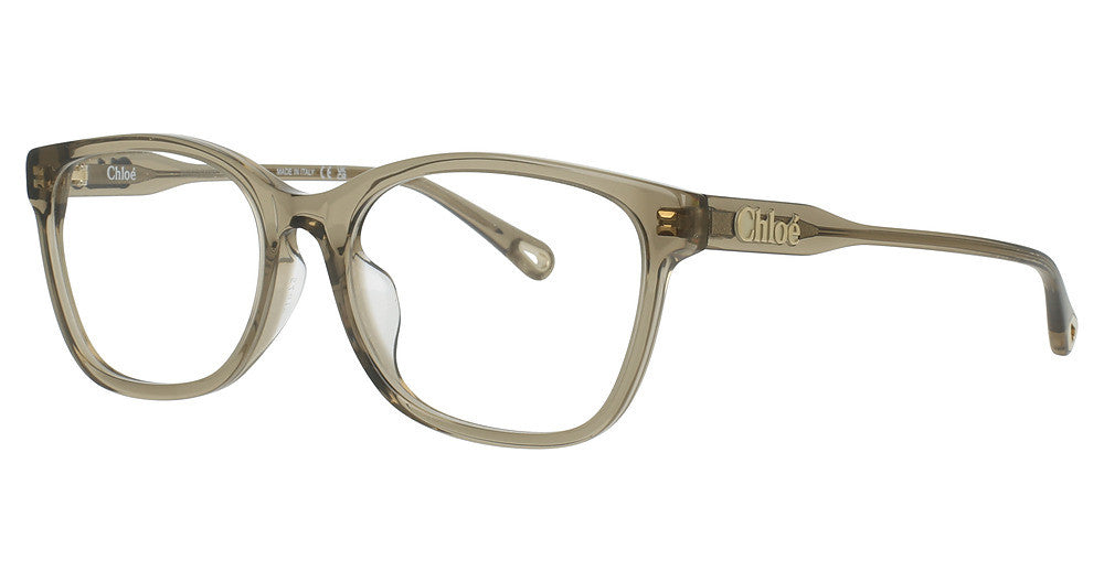 Chloé CH0276OA Eyeglasses