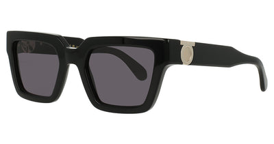 Ferragamo SF2066S Sunglasses