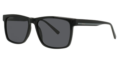 INVU INVU-316 Sunglasses
