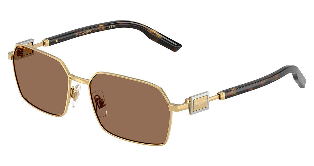 DOLCE & GABBANA DG2316 Sunglasses