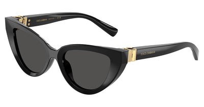 DOLCE & GABBANA DG4497 Sunglasses