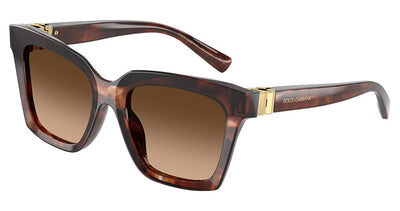 DOLCE & GABBANA DG4498 Sunglasses