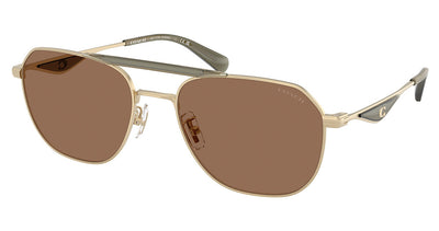 COACH HC7178 CAE80 Sunglasses