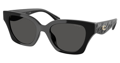 COACH HC8418U CAD18 Sunglasses