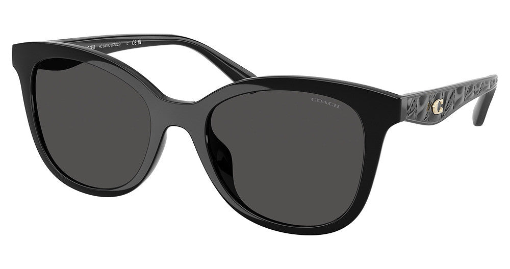 COACH HC8419U CAD25 Sunglasses
