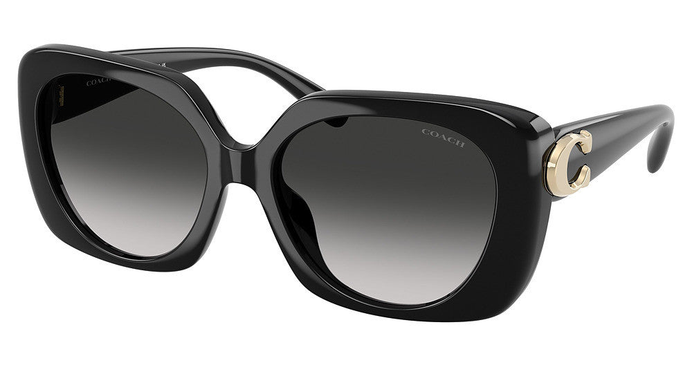 COACH HC8422U CAD33 Sunglasses