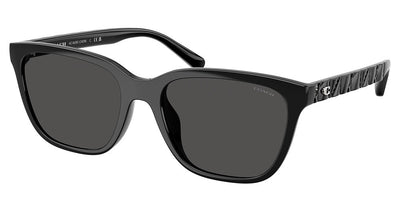 COACH HC8429D CAE86 Sunglasses
