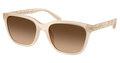 COACH HC8429D CAE86 Sunglasses