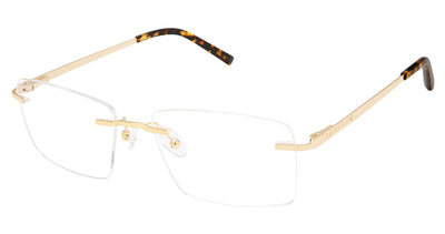 Perry Ellis PE 495 Eyeglasses